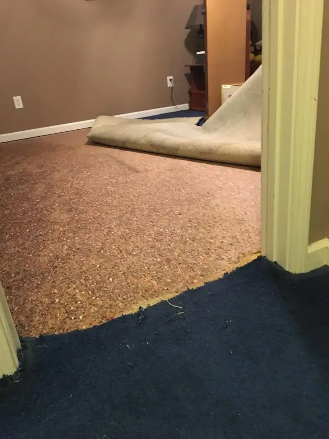 Carpet pad removal revealing water damage during Drying & Dehumidification in Casselberry