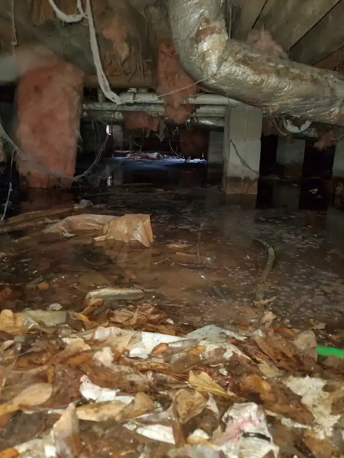 Crawl space flood assessment for Leak Detection & Repair in Casselberry